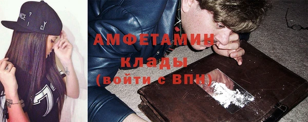 прущие грибы Карталы
