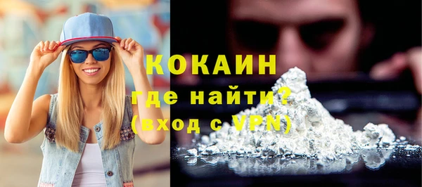 прущие грибы Карталы